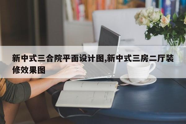 新中式三合院平面设计图,新中式三房二厅装修效果图